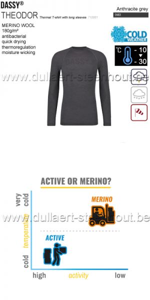 DASSY® Theodor (710061) Thermoshirt met lange mouwen - antracietgrijs